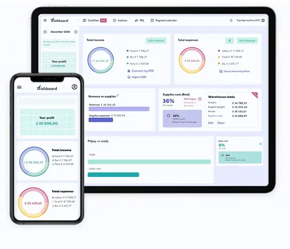 Overview of cash flow and other key metrics in Dishboard